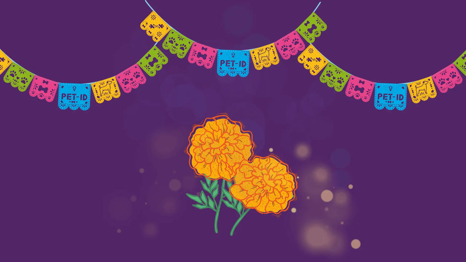 Flores de Cempasúchil y Papel Picado: La Nueva Decoración de Connect para el Día de Muertos